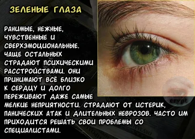 Зеркало души: что говорят о человеке зеленые глаза - 16 января, 2024 Статьи  «Кубань 24»