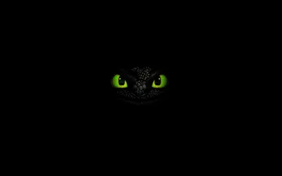 Кошка Зеленые Глаза Глаз Кошки - Бесплатное фото на Pixabay - Pixabay