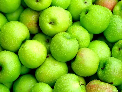 Зеленые яблоки картинки фотографии