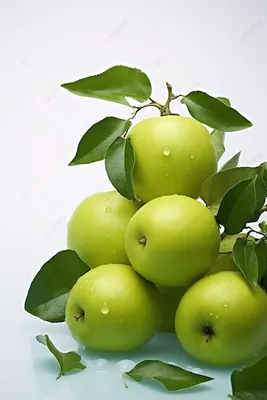 1 462 028 рез. по запросу «Зеленое яблоко» — изображения, стоковые  фотографии, трехмерные объекты и векторная графика | Shutterstock