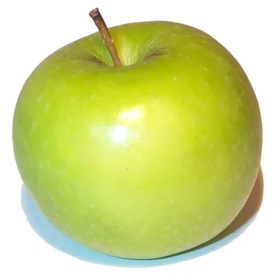 Набор муляжей Зеленые яблоки 5 штук 5 х 3,5 см купить в Москве и СПб в  интернет-магазине Рос-Арт | Цена 120.00 ₽ | Доставка