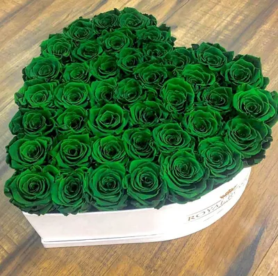 Зелёные розы – розы с доставкой по Москве и Московской области