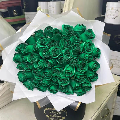 Роза Ноель бело-зеленая 40 см поштучно | купить недорого | доставка по  Москве и области | Roza4u.ru