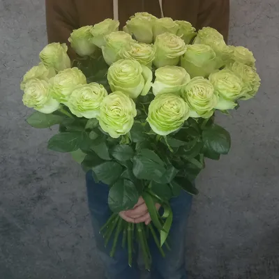 Зеленые розы в коробке - 19 шт. за 6 990 руб. | Бесплатная доставка цветов  по Москве