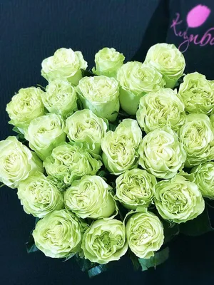 Зеленые розы картинки - 80 фото