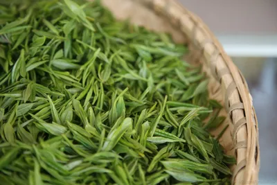 Уникальные свойства Зеленого чая. Как правильно заваривать и использовать в  здоровом питании. | Правильное и Здоровое Питание | Дзен