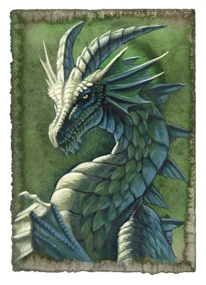 Символ Года Зеленый дракон 6017 купить, отзывы, фото, доставка -  KUPIMTUT.RU Совместные покупки