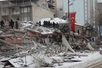 Многим спас жизнь холодильник — живущая в Турции латвийка о землетрясении /  Статья