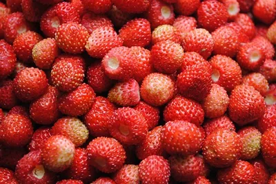 🍓 Купить землянику лесную в Краснодаре: ягоды по цене за 1 кг от 850 руб  за свежие плоды — Дикоед