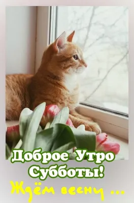 Я жду Весну! (Анна Бех) / Стихи.ру