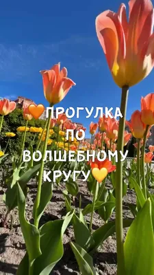 Вышитая картина \"Ждем весну\" купить в интернет-магазине Ярмарка Мастеров по  цене 15000 ₽ – 2L3HVBY | Картины, Ставрополь - доставка по России