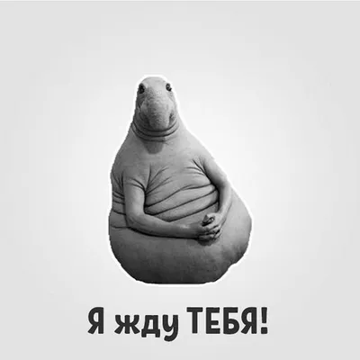 Появился первый постер фильма «Ждун» про героя популярных мемов - Чемпионат