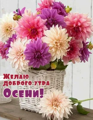 Картинка: «Желаю доброго утра, а заодно и самого прекрасного настроения!» •  Аудио от Путина, голосовые, музыкальные
