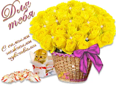 Купить Монобукет 51 розовая роза «Весна» по цене 9 200 руб с доставкой в  Прокопьевске - «Цветочная Ривьера»