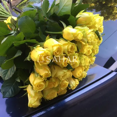Принимай поздравления! Желтые розы. — Скачайте на Davno.ru