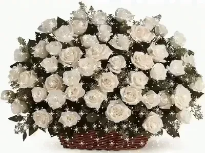 Открытка с именем жезде С днем рождения белые розы на день рождения.  Открытки на каждый день с именами и пожеланиями.