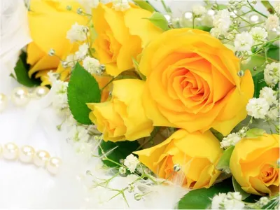 ᐉ Купить Букет из 51 желтой розы \"Солнышко\" цена 3460 грн