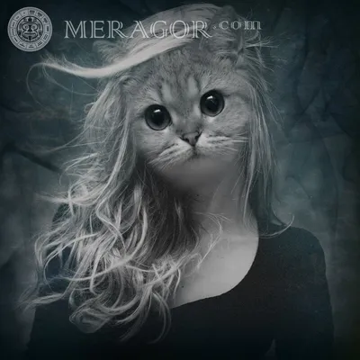 Черная кошка на аватарку - картинки и фото koshka.top