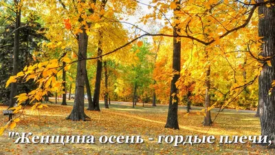 Девушка осень (Ната Вира) / Стихи.ру