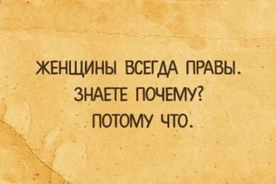 Прикольные подарки:Шарф снуд женский в наличии, подарок для женщины в  интернет-магазине Ярмарка Мастеров по цене 3400 ₽ – RNZH2RU | Прикольные  подарки, Морозовск - доставка по России