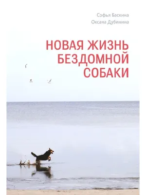 Дрессировка собак Санкт-Петербург
