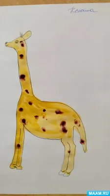 Зачем жирафу рожки, а страусу крылья - Экспресс газета