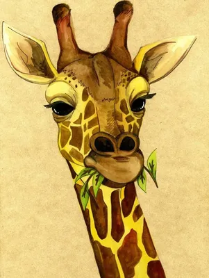 ФОТО | Тело лошади, а шея жирафа: в Африке впервые обнаружены карликовые  жирафы - Turist
