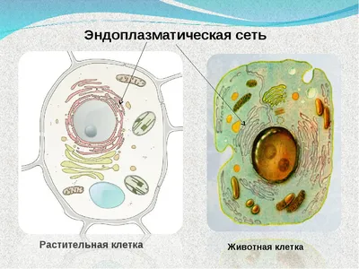 На картинке / В жизни (ч.2) | Пикабу