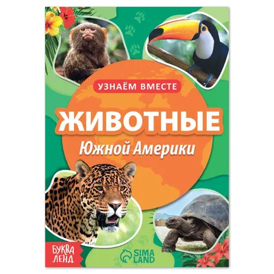 Иллюстрация 5 из 5 для Дидактические карточки \"Животные Северной Америки\" |  Лабиринт - игрушки. Источник: Мажарцева Светлана