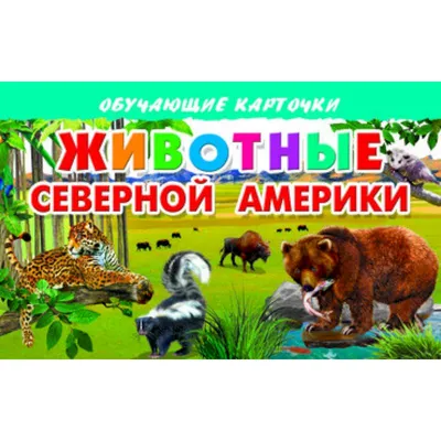 ЖИВОТНЫЕ СЕВЕРНОЙ АМЕРИКИ (Арт.ПД-9168)