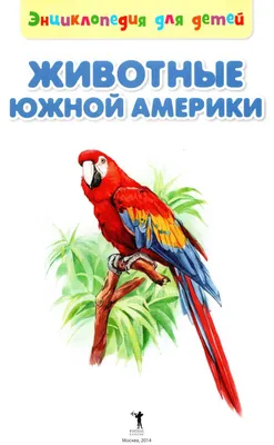 Иллюстрация 6 из 9 для Дидактические карточки \"Животные Южной Америки\" |  Лабиринт - игрушки. Источник: Zakatnoe Solnce