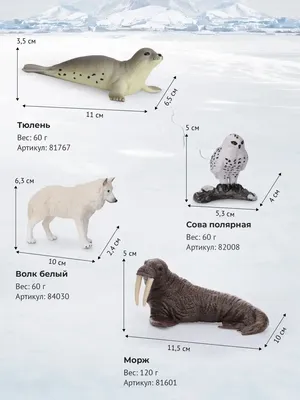 Derri Animals Набор фигурок Животные Арктики и Антарктики 8 шт. 85130DA