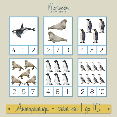 Дидактические карточки Маленький Гений Животные Арктики и Антарктики -  купить подготовки к школе в интернет-магазинах, цены в Москве на Мегамаркет  |