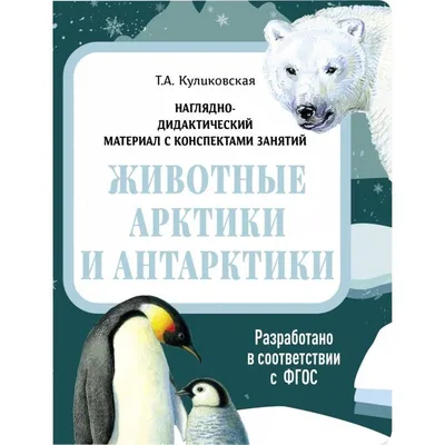 Изумительные животные Антарктики Стоковое Изображение - изображение  насчитывающей материк, холодно: 144368383