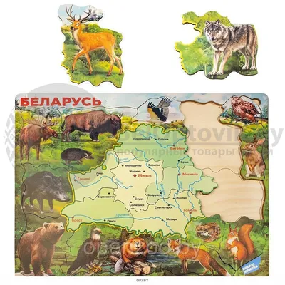 Сколько бешеных животных зарегистрировали в Беларуси в этом году?