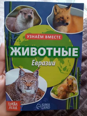 Животные Евразии: список и описание :: SYL.ru