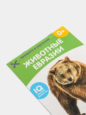 https://krasivosti.pro/11042-zhivotnye-evrazii.html