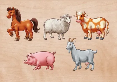 Животные на ферме | Животные, Картинки домашних животных, Домашнее животное