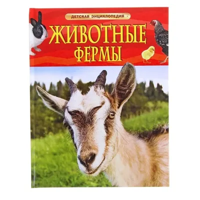 Книга Животные Фермы. Развивающая книжка С наклейками - купить книги по  обучению и развитию детей в интернет-магазинах, цены в Москве на Мегамаркет  |