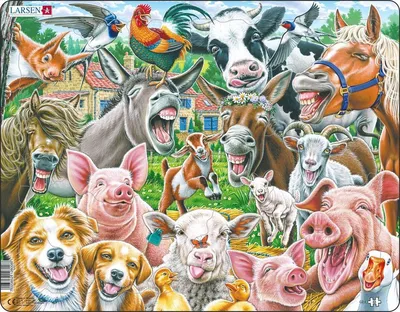 Животные фермы Плакат - Бук-сток