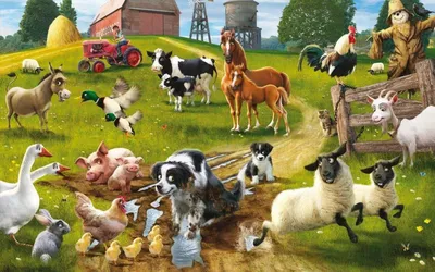 Купить Книжка аппликация наклейками «Животные фермы», 12 стр., «Синий  трактор» (7510161) в Крыму, цены, отзывы, характеристики | Микролайн