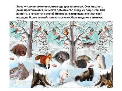 Отопительный сезон в Минском зоопарке: как животные готовятся к зиме -  01.10.2016, Sputnik Беларусь