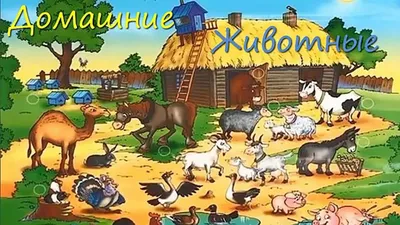 Животные и их детеныши. Для детей 4-6 лет — купить книги на русском языке в  DomKnigi в Европе