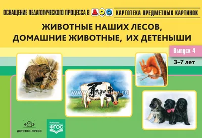 Купить Набор \"Дикие животные и их детеныши\" в Москве недорого