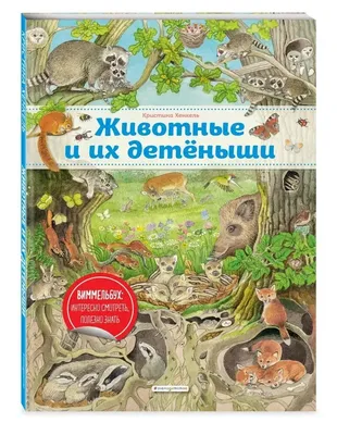 Дорис Рюбель: Животные и их детеныши. Книжка с окошками - купить в интернет  магазине, продажа с доставкой - Днепр, Киев, Украина - Книги для детей 3 -  6 лет