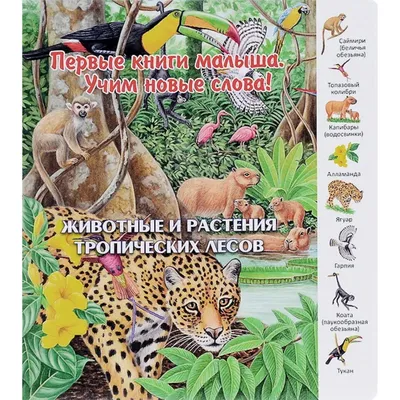 Животные и растения тропических лесов (5553135) - Купить по цене от 303.00  руб. | Интернет магазин SIMA-LAND.RU