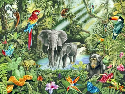 Животные тропических лесов - 70 фото