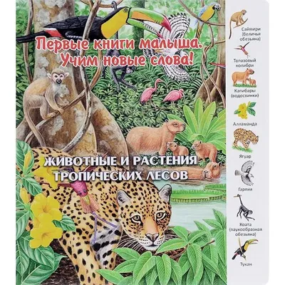Животные и растения тропических лесов (5553135) - Купить по цене от 303.00  руб. | Интернет магазин SIMA-LAND.RU