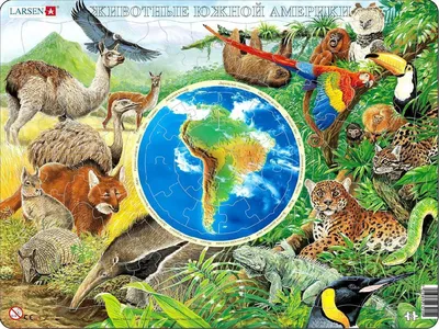 животные южной америки. коллекция объектов природы. географическая  локальная фауна. млекопитающие, живущие на континенте. вектор Иллюстрация  вектора - иллюстрации насчитывающей график, леопард: 220670624