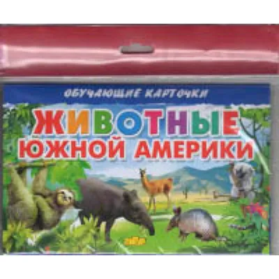 Карточки. Животные Южной Америки — купить книги на русском языке в DomKnigi  в Европе